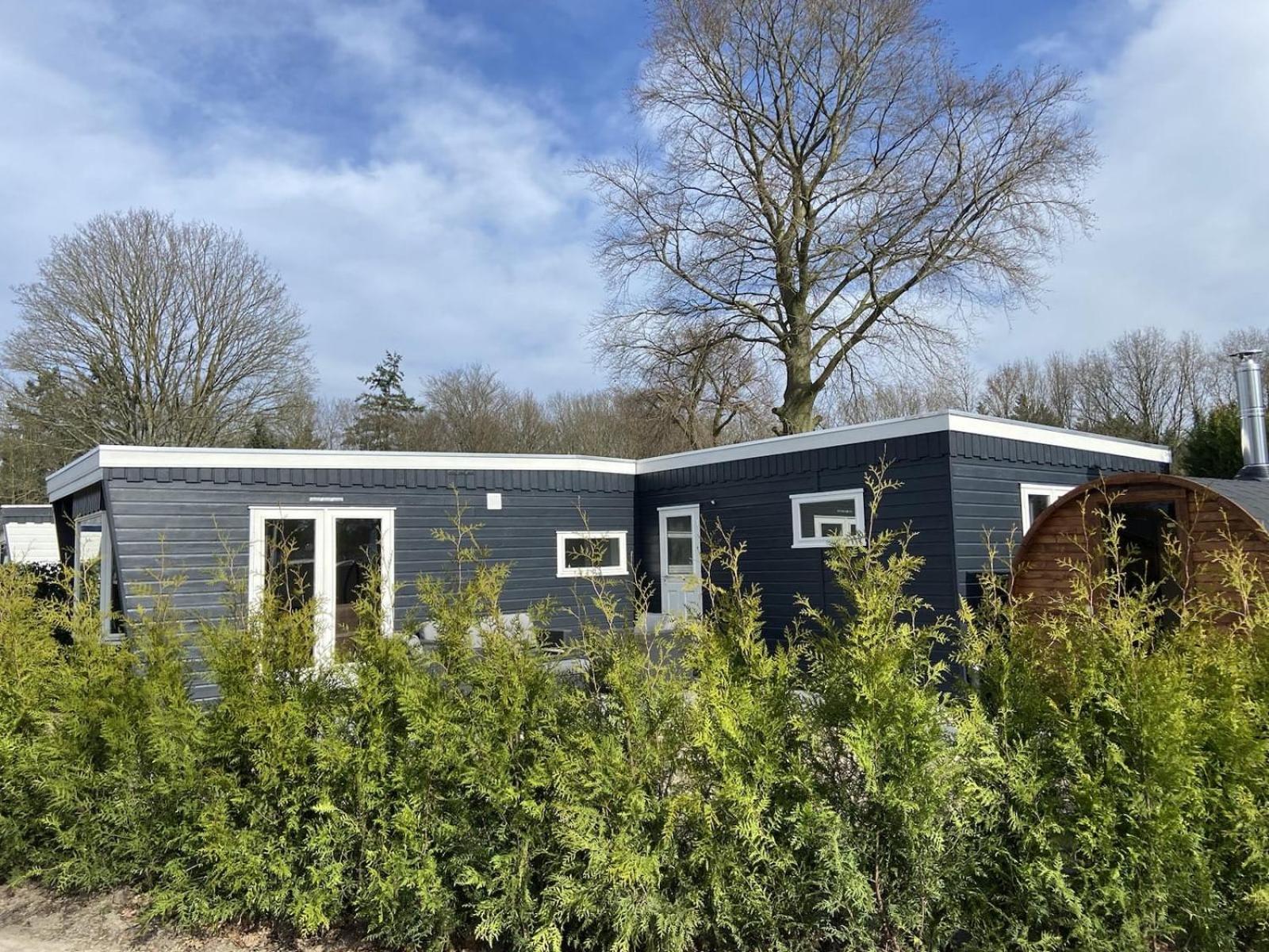 Veluwe Vakanties: Retreat With Private Sauna In National Park Apartment